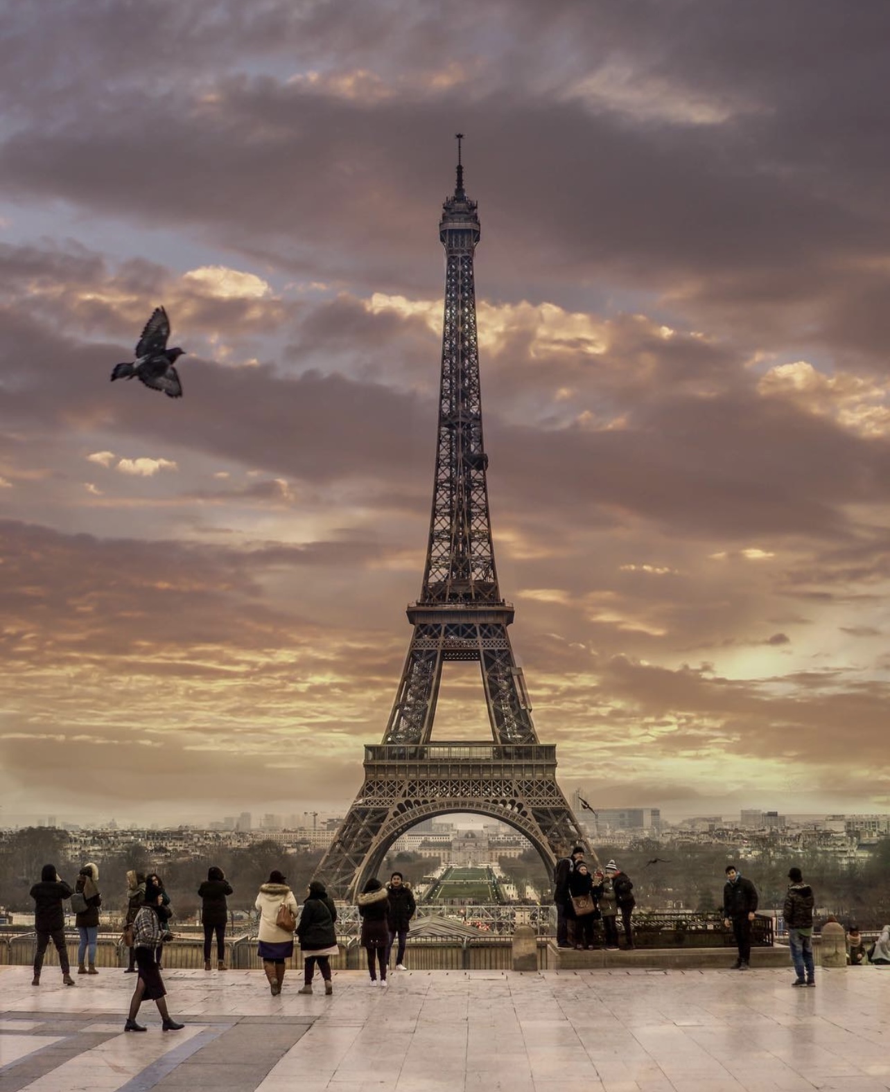 Paris skyline with Eiffel Tower